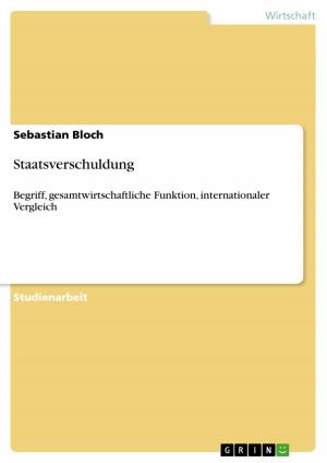 Cover of the book Staatsverschuldung by Mike Schwering, Thilo Heidelmayer
