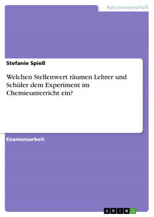 Cover of the book Welchen Stellenwert räumen Lehrer und Schüler dem Experiment im Chemieunterricht ein? by Janin Eissing