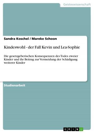 Cover of the book Kindeswohl - der Fall Kevin und Lea-Sophie by Claudia Fischer
