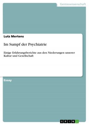 Cover of the book Im Sumpf der Psychiatrie by Dominik Sommer