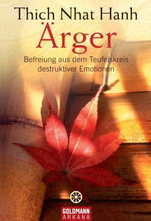 Cover of the book Ärger by Dr. Ruediger Dahlke