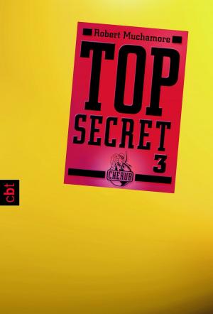 Book cover of Top Secret 3 - Der Ausbruch