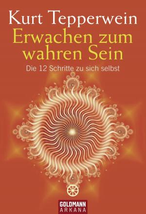 Book cover of Erwachen zum wahren Sein