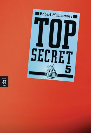 Cover of the book Top Secret 5 - Die Sekte by Chris Ryan
