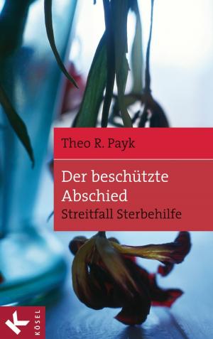 Cover of the book Der beschützte Abschied by Georg Hilger, Stephan Leimgruber, Hans-Georg Ziebertz