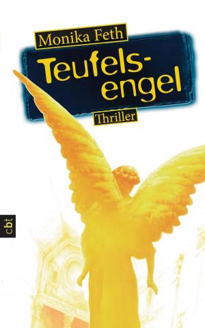 Cover of the book Teufelsengel by Karin Slaughter