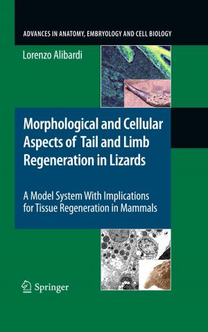 Cover of the book Morphological and Cellular Aspects of Tail and Limb Regeneration in Lizards by C. Andre, M. Spehl-Robberecht, F.-E. Avni, F. Brunelle, L. Cadier, J.-Y. Cohen, A. Couture, P. Devred, M. Dewald, D. Eurin, J.-L. Ferran, L. Garel, G. Lalande, D. Lallemand, B. Le Bihan, P. Le Dosseur, J. Leclere, J.-P. Montagne, S. Neuenschwander, D. Pariente, J. Poncin