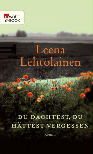 Cover of the book Du dachtest, du hättest vergessen by Stephan Serin