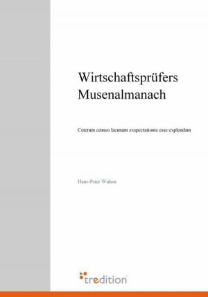 Cover of the book Wirtschaftsprüfers Musenalmanach by Armin König