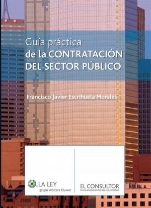 bigCover of the book Guía Práctica de la contratación del sector público by 