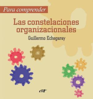 Cover of the book Para comprender las constelaciones organizacionales by Regina Ammicht Quinn