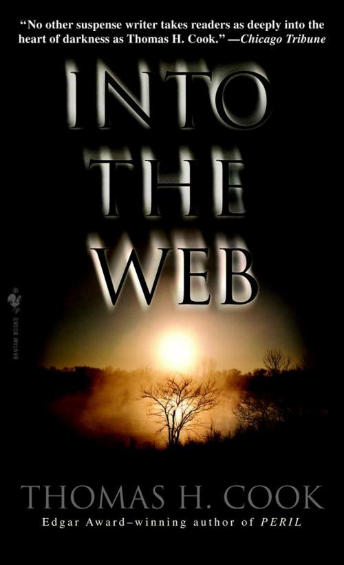 Cover of the book Into the Web by Thomas H. Cook, Random House Publishing Group