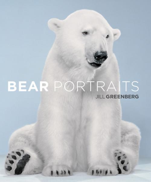 Cover of the book Bear Portraits by Jill Greenberg, Little, Brown and Company