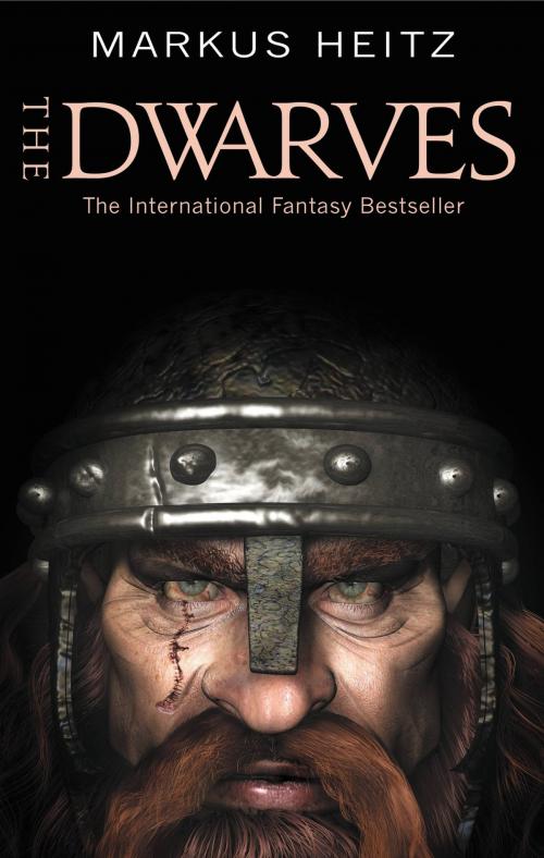 Cover of the book The Dwarves by Markus Heitz, Orbit