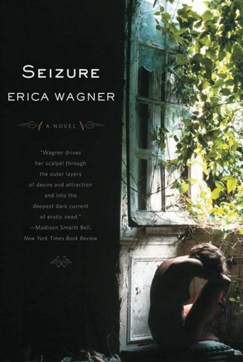 Cover of the book Seizure: A Novel by Erica Wagner, W. W. Norton & Company