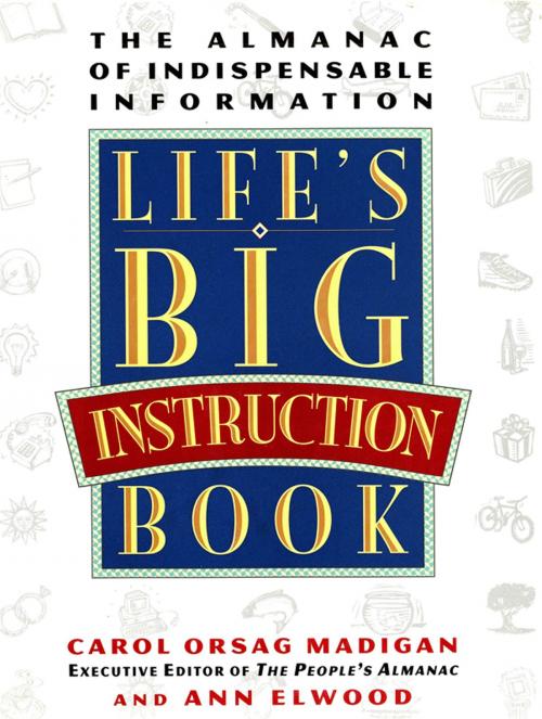 Cover of the book Life's Big Instruction Book by MADIGAN, CAROL; ELWOOD, ANN, Grand Central Publishing