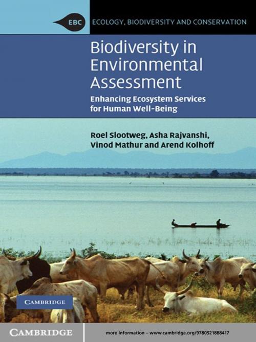 Cover of the book Biodiversity in Environmental Assessment by Roel Slootweg, Asha Rajvanshi, Vinod B. Mathur, Arend Kolhoff, Cambridge University Press