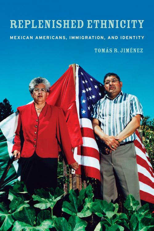 Cover of the book Replenished Ethnicity by Tomas Jimenez, University of California Press
