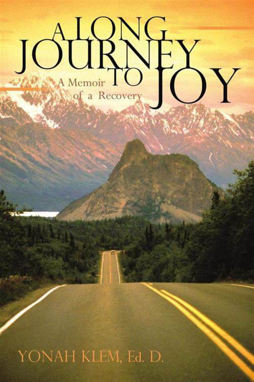 Cover of the book A Long Journey to Joy by Yonah Klem, iUniverse