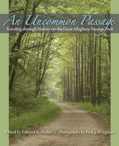 Cover of the book An Uncommon Passage by , University of Pittsburgh Press