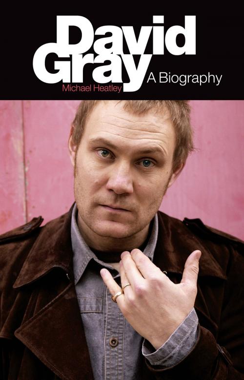 Cover of the book David Gray: A Biography by Michael Heatley, Music Sales Limited