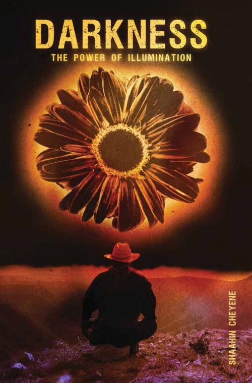 Cover of the book Darkness: The Power Of Illumination by Shaahin Cheyene, Shaahin Cheyene