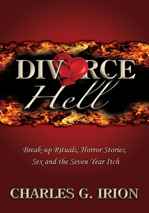 Cover of the book Divorce Hell by Charles G. Irion, Charles G. Irion