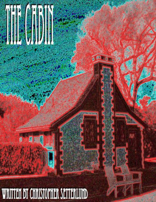 Cover of the book The Cabin by Christopher Setterlund, Christopher Setterlund
