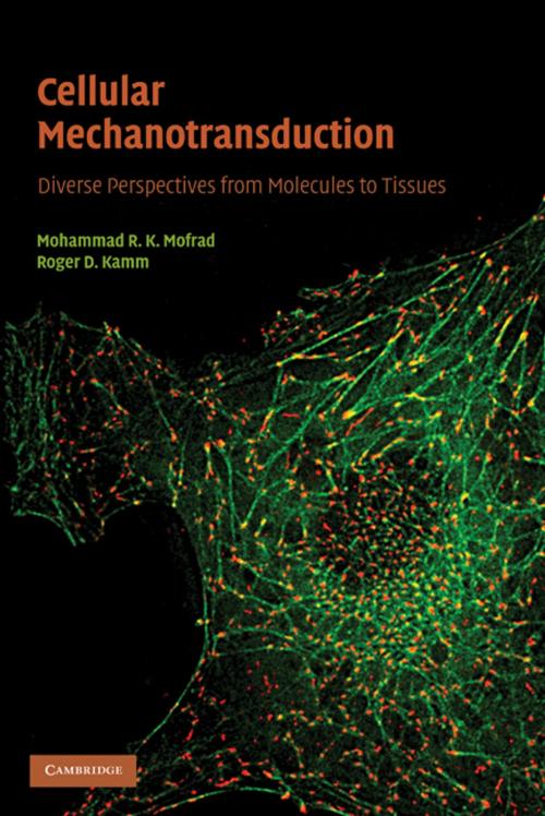 Cover of the book Cellular Mechanotransduction by , Cambridge University Press