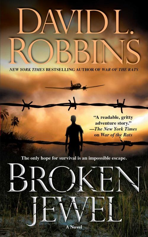 Cover of the book Broken Jewel by David L. Robbins, Simon & Schuster