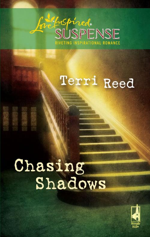 Cover of the book Chasing Shadows by Terri Reed, Steeple Hill