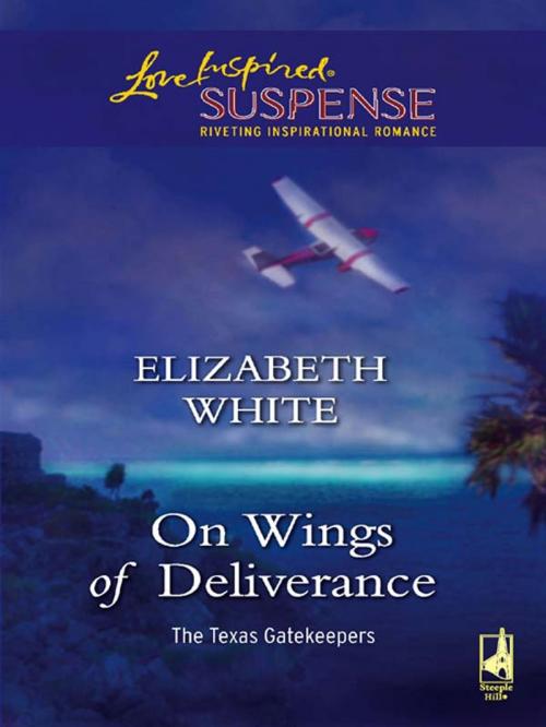 Cover of the book On Wings of Deliverance by Elizabeth White, Steeple Hill