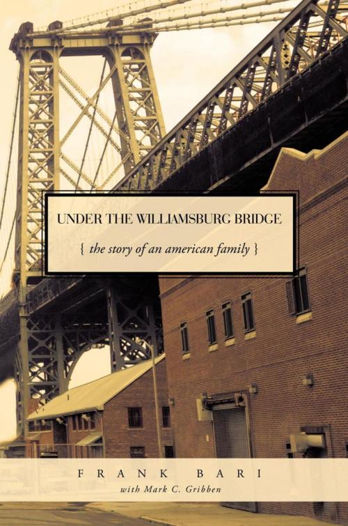 Cover of the book Under the Williamsburg Bridge by Frank Bari, Trafford Publishing