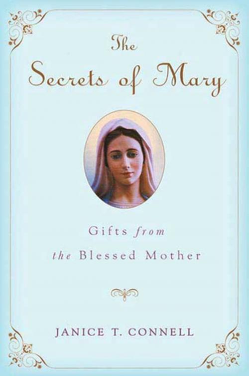 Cover of the book The Secrets of Mary by Janice T. Connell, St. Martin's Press
