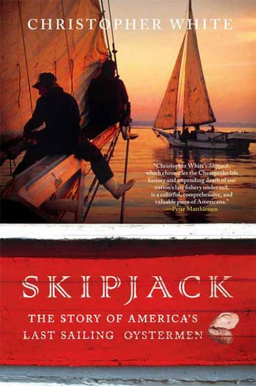 Cover of the book Skipjack by Christopher White, St. Martin's Press
