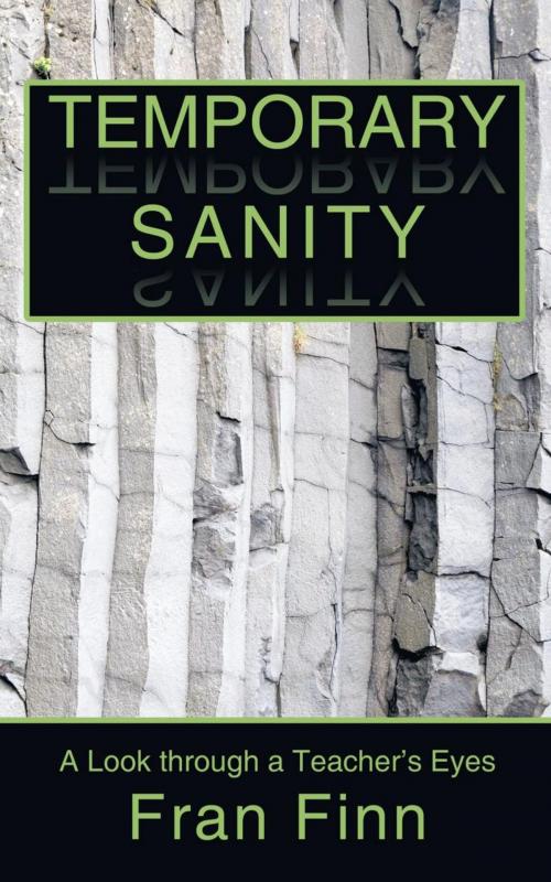 Cover of the book Temporary Sanity by Fran Finn, iUniverse