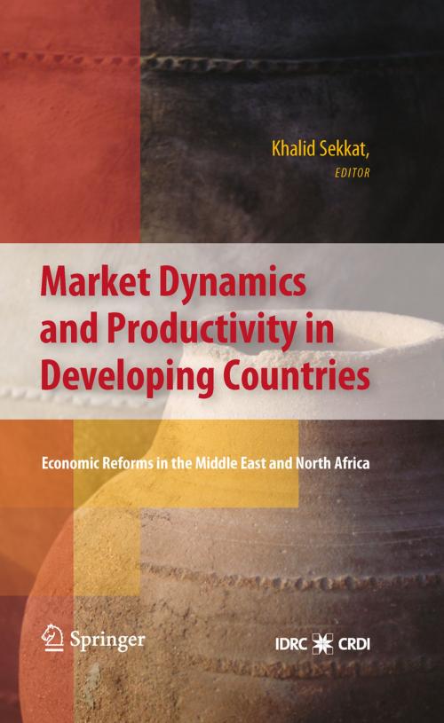 Cover of the book Market Dynamics and Productivity in Developing Countries by , Springer New York