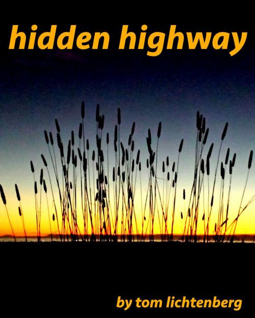 Cover of the book Hidden Highway by Tom Lichtenberg, Tom Lichtenberg