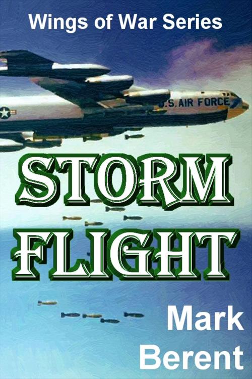 Cover of the book Storm Flight by Mark Berent, Mark Berent