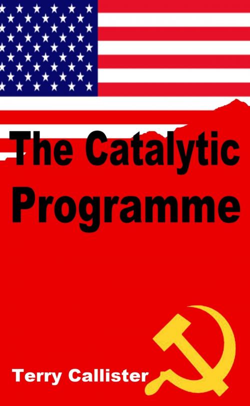 Cover of the book The Catalytic Programme by Terry Callister, Terry Callister