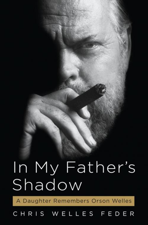 Cover of the book In My Father's Shadow by Chris Welles Feder, Algonquin Books