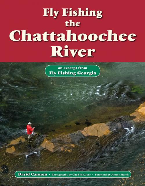 Cover of the book Fly Fishing the Chattahoochee River by David Cannon, Chad McClure, No Nonsense Fly Fishing Guidebooks