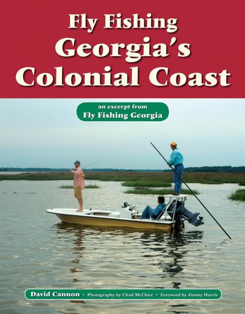 Cover of the book Fly Fishing Georgia's Colonial Coast by David Cannon, Chad McClure, No Nonsense Fly Fishing Guidebooks