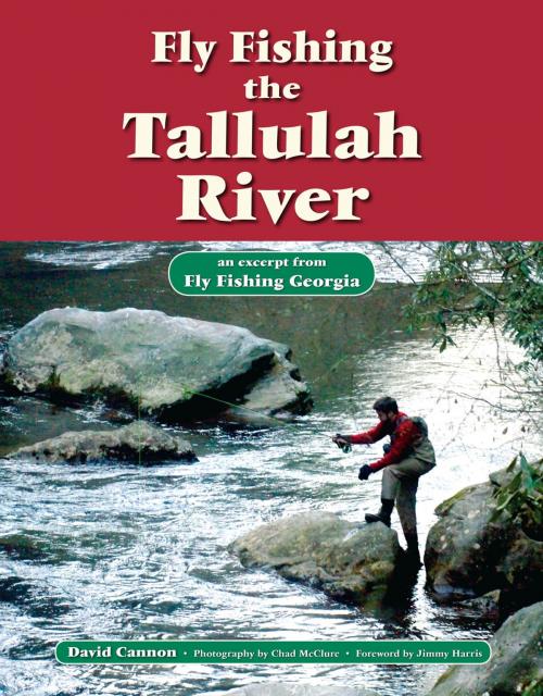 Cover of the book Fly Fishing the Tallulah River by David Cannon, Chad McClure, No Nonsense Fly Fishing Guidebooks