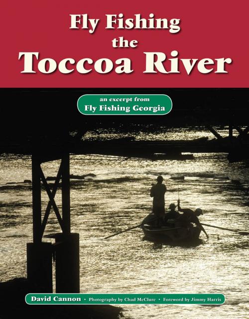 Cover of the book Fly Fishing the Toccoa River by David Cannon, Chad McClure, No Nonsense Fly Fishing Guidebooks