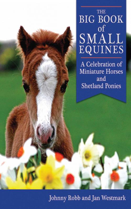 Cover of the book The Big Book of Small Equines by Johnny Robb, Jan Westmark, Skyhorse