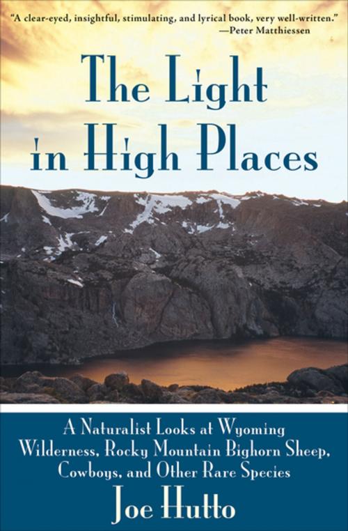 Cover of the book The Light in High Places by Joe Hutto, Skyhorse Publishing