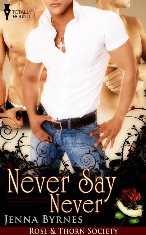 Cover of the book Never Say Never by Jenna Byrnes, Totally Entwined Group Ltd