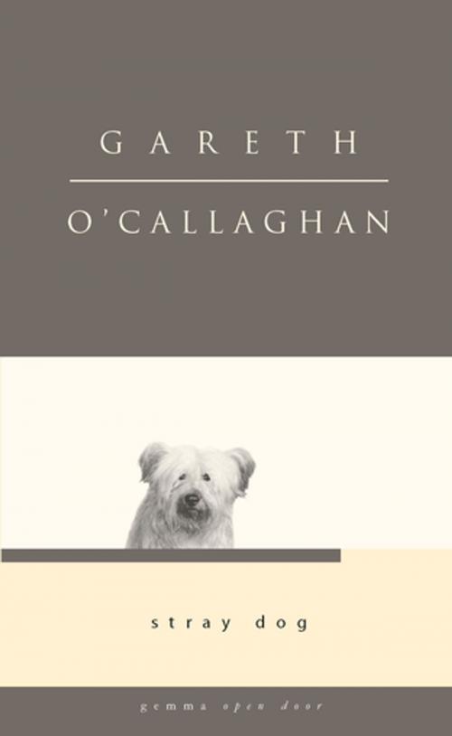 Cover of the book Stray Dog by Gareth O'Callaghan, Gemma Open Door