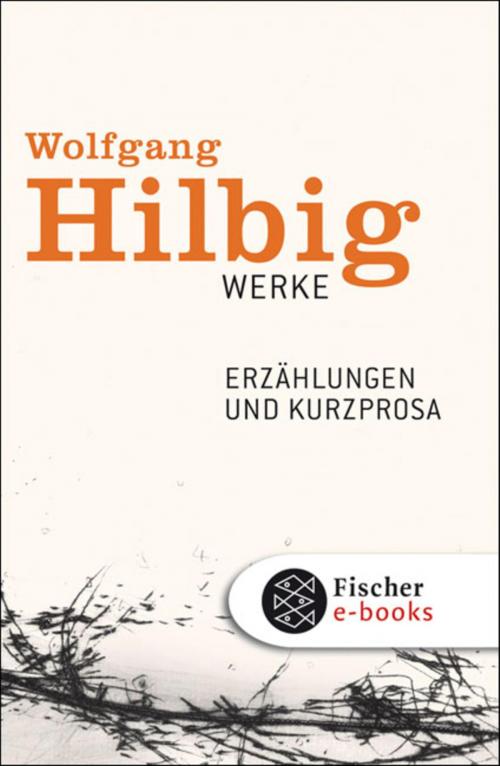 Cover of the book Werke, Band 2: Erzählungen und Kurzprosa by Wolfgang Hilbig, FISCHER E-Books